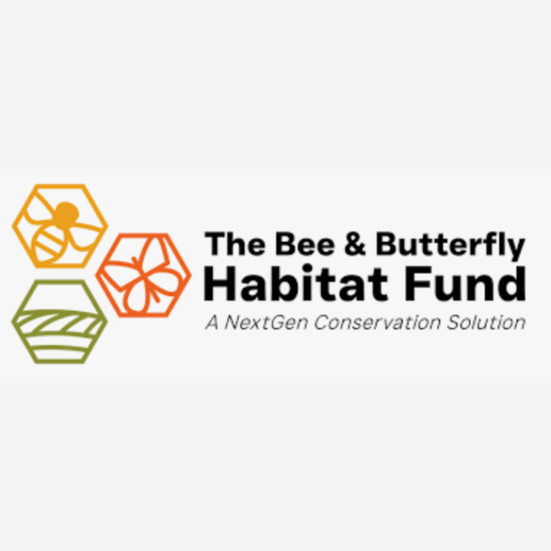 The Bee & Butterfly Habitat Fund Mycowear